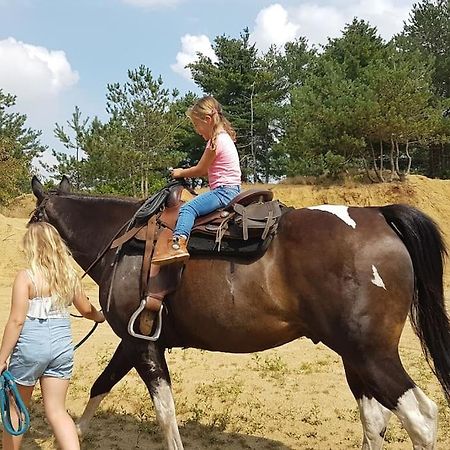 3 Bedroom Chalet On Camping Gt Balen מראה חיצוני תמונה