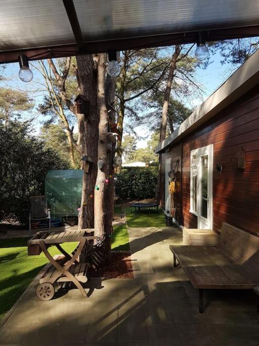 3 Bedroom Chalet On Camping Gt Balen מראה חיצוני תמונה