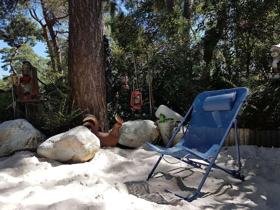 3 Bedroom Chalet On Camping Gt Balen מראה חיצוני תמונה